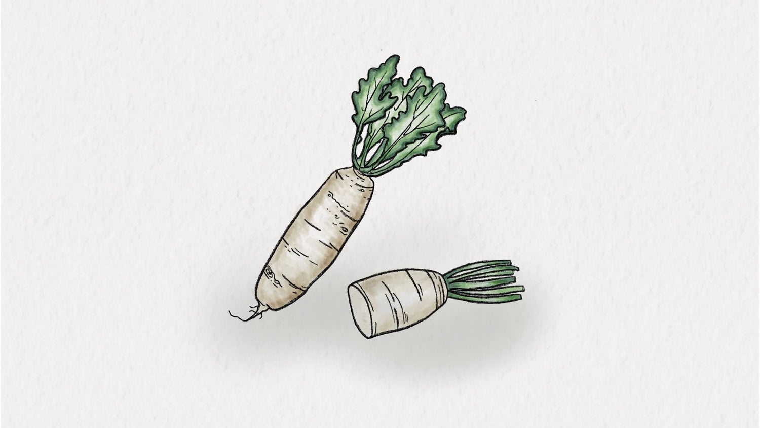 Daikon